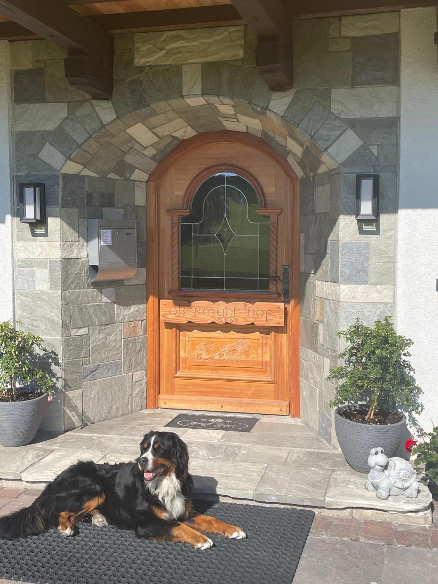Ferienwohnung Obermuehlhof Saalfelden Exterior foto